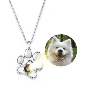 Colar Amor Eterno Pet Foto Personalizada Velavue