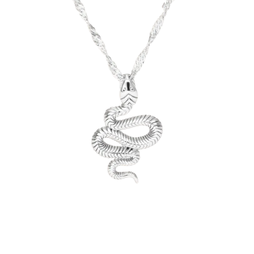 Colar Pingente Cobra Prata Velavue