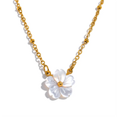 Colar com Pingente Flor Natural Shell Premium Velavue